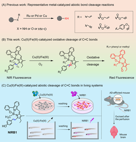 图示描述已自动生成